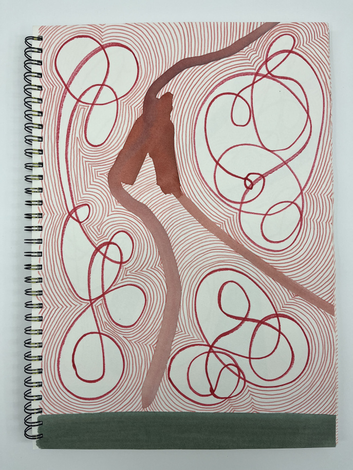 Sri lanka Picturebook, 2023/23 - 1