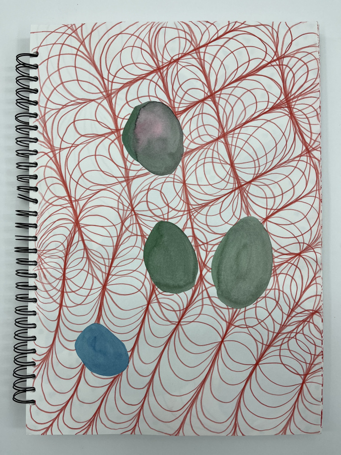 fortaleza brasilien Bilderbuch, juni 2023 - 5