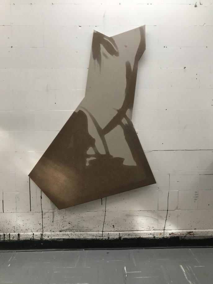 Malstudien auf unregelmässigen Flächen, 2020 bis 2025 - 1