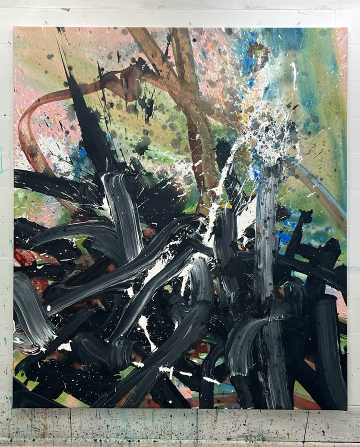 "landscape", 2024 - 2